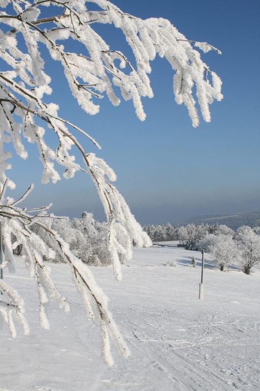 Ferienhaus Am Skihang Altenberg Luaran gambar