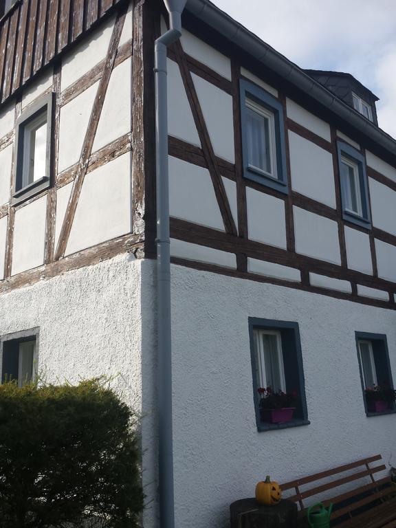 Ferienhaus Am Skihang Altenberg Luaran gambar